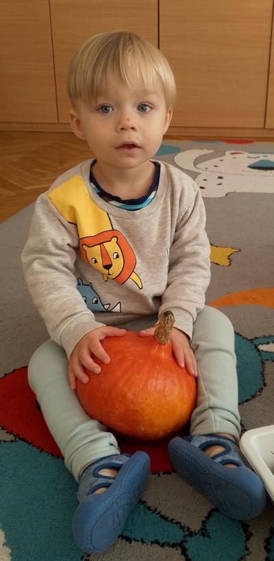 1000012795.jpg