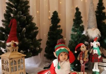 Święty Mikołaj u Pszczółek i Biedronek