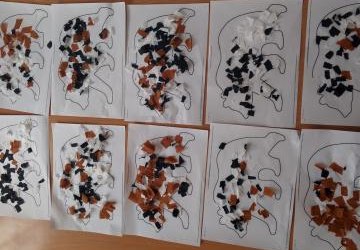 Niedźwiadki w roli głównej