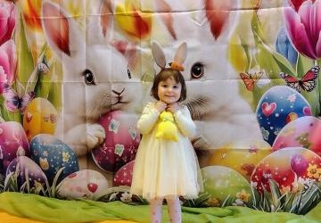 Zdjęcia w grupie Motylki