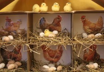 Święta Wielkanocne