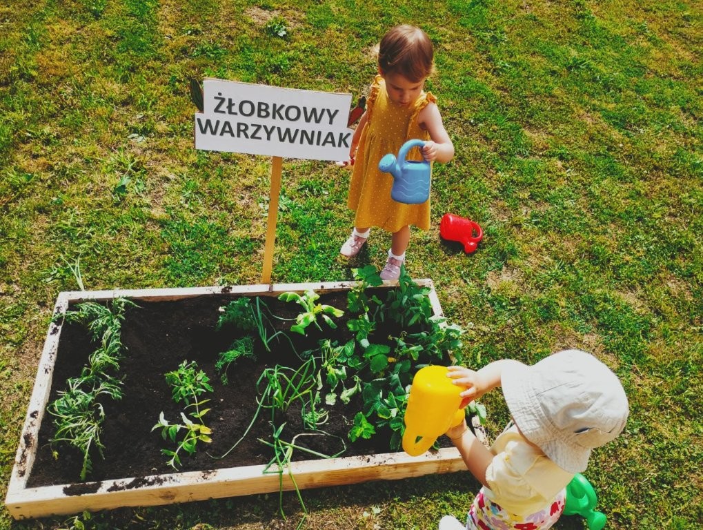 Żłobkowy warzywniak w Miejskim Żłobku nr 2