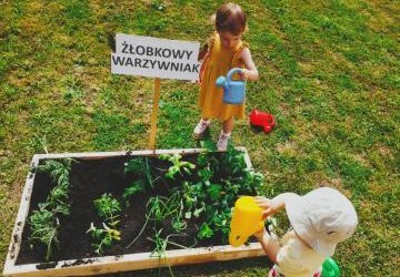 Żłobkowy warzywniak w Miejskim Żłobku nr 2